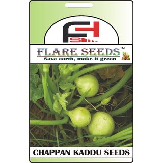                       FLARE SEEDS Chappan Kaddu (SQUASH) Seeds - 20 Seeds Pack                                              