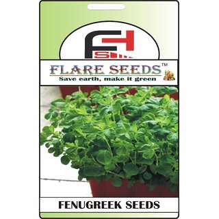                       FLARE SEEDS Fenurgeek Seeds - 50 Seeds Pack                                              