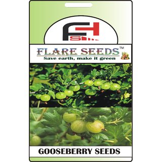                       FLARE SEEDS Gooseberry Seeds - 50 Seeds Pack                                              