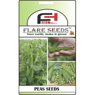                       FLARE SEEDS Peas Seeds - 50 Seeds Pack                                              