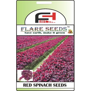                       FLARE SEEDS Red Spinach Amaranthus Seeds - 100 Seeds Pack                                              