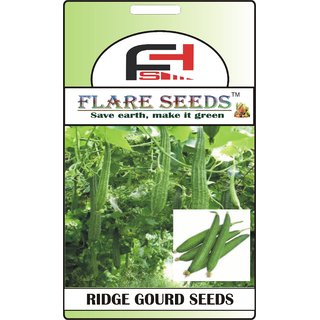                       FLARE SEEDS Ridge Gourd Seeds - 20 Seeds Pack                                              