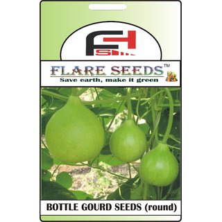                       FLARE SEEDS Round Bottle Gourd Seeds - 20 Seeds Pack                                              