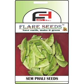                       FLARE SEEDS Sem Phali Seeds - 20 Seeds Pack                                              
