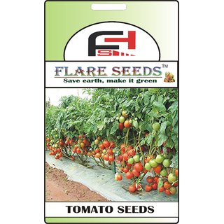                       FLARE SEEDS Tomato Seeds - 50 Seeds Pack                                              