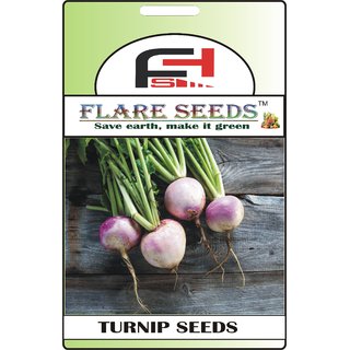                       FLARE SEEDS Turnip Seeds - 50 Seeds Pack                                              