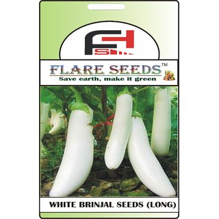                       FLARE SEEDS White Brinjal Seeds - 50 Seeds Pack                                              