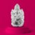 Reshamm Life Care Clear Quartz Natural Crystal Ganesh Ji-Enhance Psychic Abilities,It Aids Connection (Water Color)