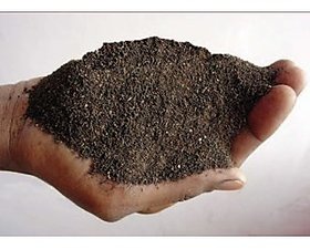 Cow Dung Based Vermicompost