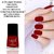 Fabia Matte Nail Polish Pack of 12 Multicolor 6 ml Royal Collection51