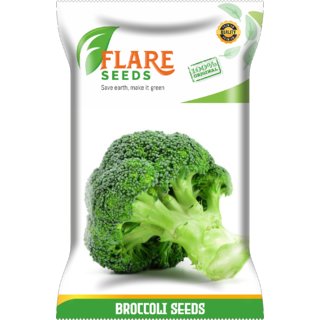                       BROCCOLI SEEDS - 100 SEEDS PACK                                              