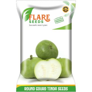                       TINDA SEEDS - ROUND GOURD 50 SEEDS PACK                                              