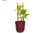 WOODEN SUPPORTING STAND FOR PLANTS SET OF 3