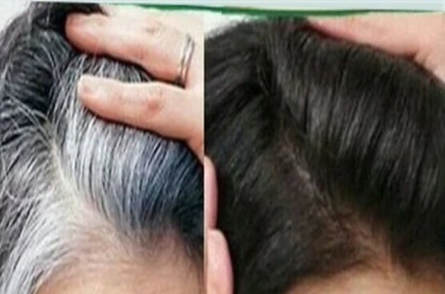 MaxxPro Pack of 10 Maxx Pro Herbal Hair Darkening Shampoo 30ml each  natural hair color  Black  Price in India Buy MaxxPro Pack of 10 Maxx  Pro Herbal Hair Darkening Shampoo 