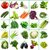 Connifer Indian Vegetable Seeds Combo for Home Garden/Terrace Garden/Kitchen garden (25 VARIETY SEEDS COMBO)