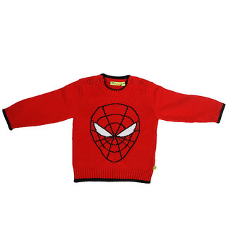                       Boys Long Sleeve Sweater With Spider Intarsia At Front                                              