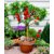 ENORME 200 Rare Fruits Seeds Combination Edible Strawberries for home