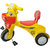 Kids toys valley Happy birthday tricycle