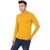 Joe Hazel Solid T Neck Sweater