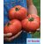 Vegetable Seeds BEEFSTEAK TOMATO 30 SEEDS (VEGETABLE SEEDS) European Variety