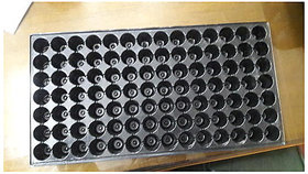 Bazodo Seedling Tray 50 Cavity -Pack of 10 Nos