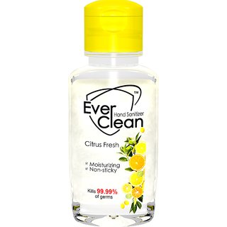                       EverClean Hand Sanitizer Citrus Fresh - 60mL(Pack of 12)                                              