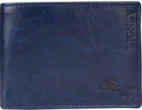 LIONZY Men Blue Synthetic Leather Wallet