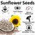 Prathmik Sunflower seeds 250 gram