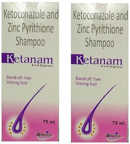 Ketanam Dandruff Free Shining Hair Shampoo Pack of -2