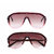 ROZIOR Italy UV400 Wayfarer Unisex Sunglasses (SILVERTEA)