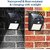 Solar Motion Sensor Wall Light for Outdoor Use with Multiple LEDs - Pack of 2 PCs