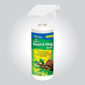 Green Dragon's All Natural Snail and Slug Spray 500 ml Ready to Use