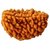 Raviour Lifestyle Ek Mukhi Rudraksha Natural & Original Rudraksha Beads