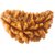 Raviour Lifestyle Ek Mukhi Rudraksha Natural & Original Rudraksha Beads For Astrological Benefits