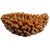 Raviour Lifestyle Natural & Energized Ek Mukhi Rudraksha Beads For Astrological Benefits