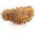 Raviour Lifestyle Lord Shiva Ek Mukhi Rudraksha / 1 mukhi Rudraksha Original & Natural Beads