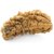 Raviour Lifestyle Lord Shiva Ek Mukhi Rudraksha / 1 mukhi Rudraksha Original & Natural Beads