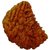 Raviour Lifestyle 1 Mukhi One Mukhi Ek Mukhi Original & Natural Rudraksha Beads For Astrological Benefits