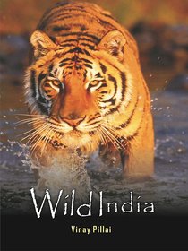Wild India