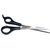 Nawani Salon Professional Barber Hair Cutting Thinning Scissors.Size - 16/6 cm