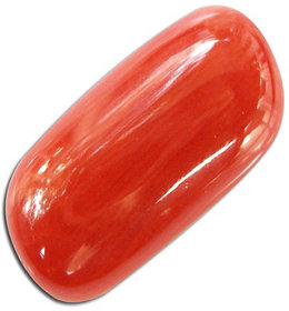 8.25 Ratti Praval Red Coral Natural Gemstone