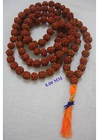 8 MM 5 MUKHI RUDRAKSHA JAPA MALA HINDU PRAYER JAPA MALA RUDRAKSHA BEADED MAALA 108+1
