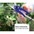 Garden Scissor - Pack Of 2 - Gardening Tool - Shears Pruners Scissor