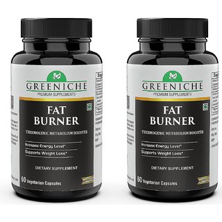                       Greeniche Fat Burner with L-Carnitine, Garcinia Cambogia, Green Tea and Coffee Extract for Weight Loss-60 Cap PACK OF 2                                              