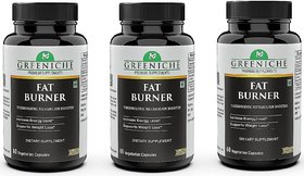 Greeniche Fat Burner with L-Carnitine, Garcinia Cambogia, Green Tea and Coffee Extract for Weight Loss-60 Cap PACK OF 3