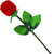 MissMister Imitation Red Rose Jewellery Gift Item, with Solitaire CZ Gold Plated Free Size Finger Ring Women