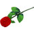 MissMister Imitation Red Rose Jewellery Gift Item, with Solitaire CZ Gold Plated Free Size Finger Ring Women
