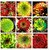 Succulent Seed for HomeGarden Plant,Echeveria mix Flowering Seeds