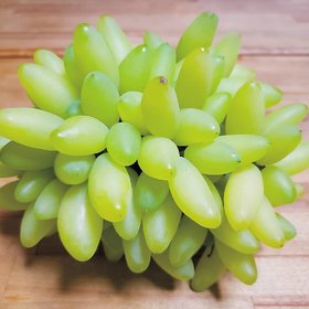 Rare Grapes Fresh Seeds - 50 Seeds