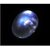 100 Original Certified Stone 9.5 Carat Blue Moonstone By Ceylonmine
